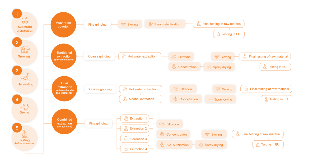 diagram-extrakce-mycomedica-pl