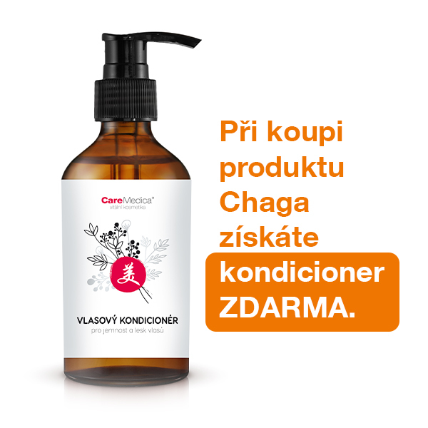 6_Chaga hower kopie